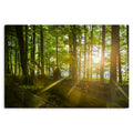 Rest - Metal Prints