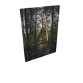 Across - Canvas