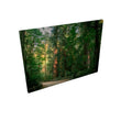Capilano Path - Canvas