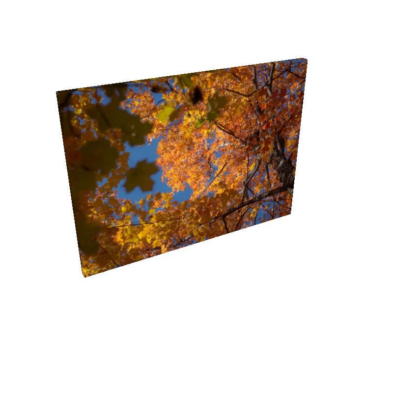 Living Tapestry - Canvas