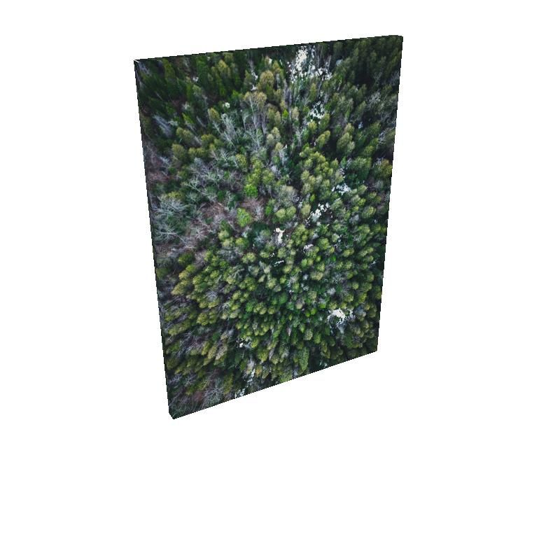 Birdseye Vista