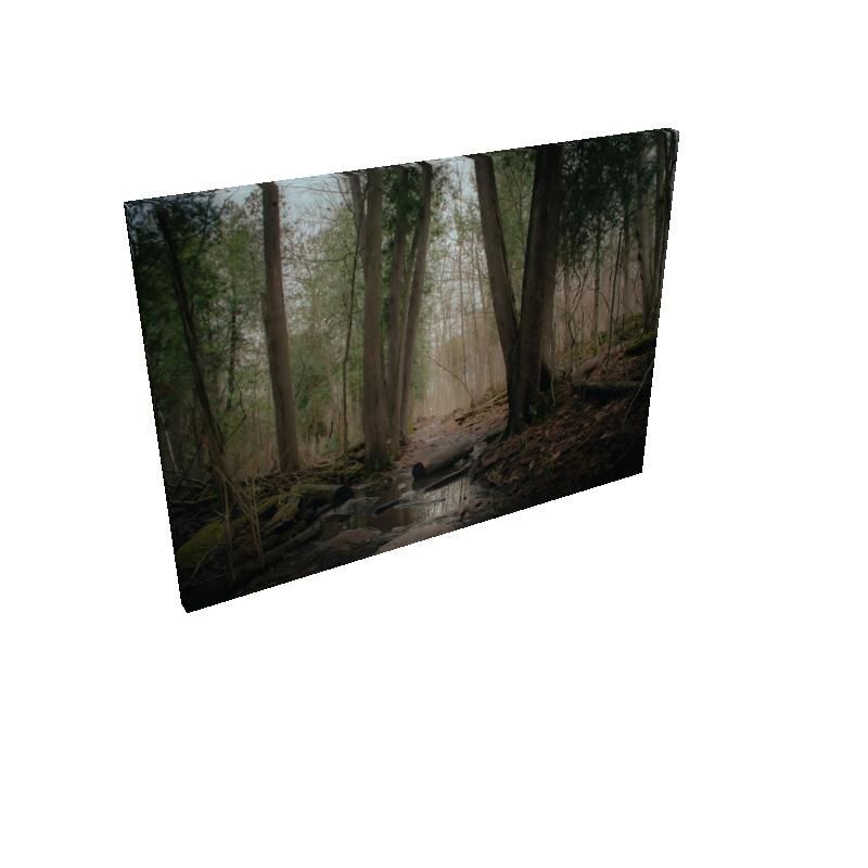Woodland Marsh - Canvas