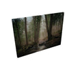 Woodland Marsh - Canvas