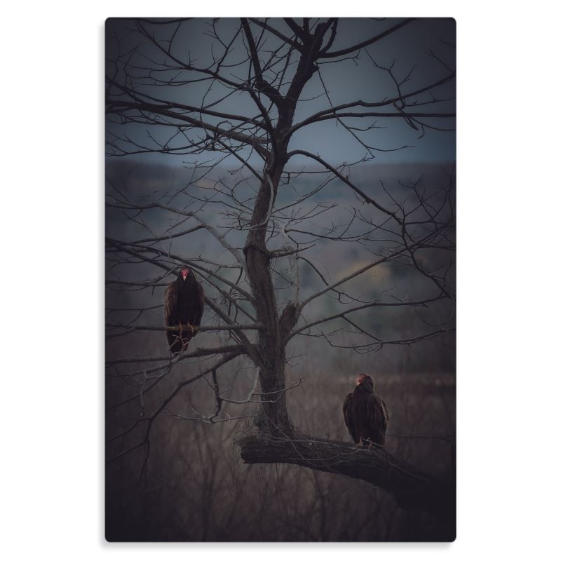 Striking Watchers