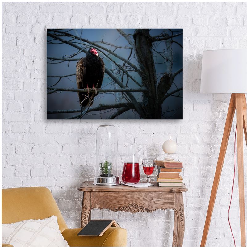 Johnny Crow - Canvas