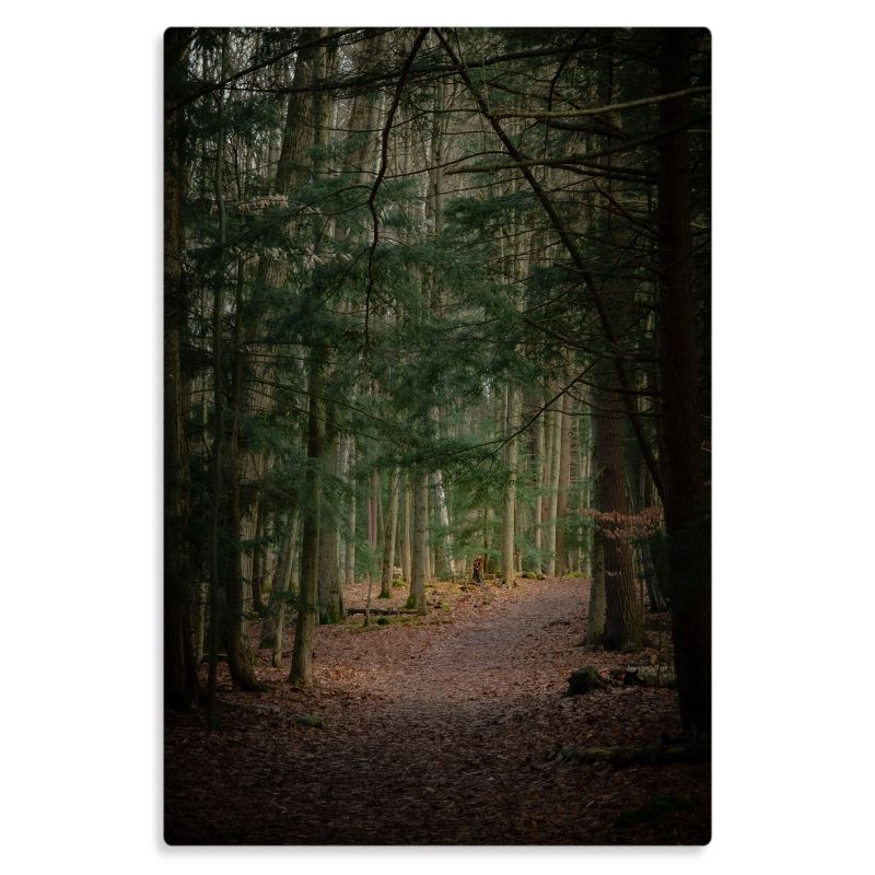Fall Path