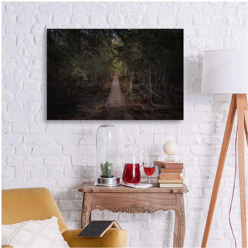 Forest Boardwalk