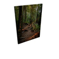 Hewn steps - Canvas