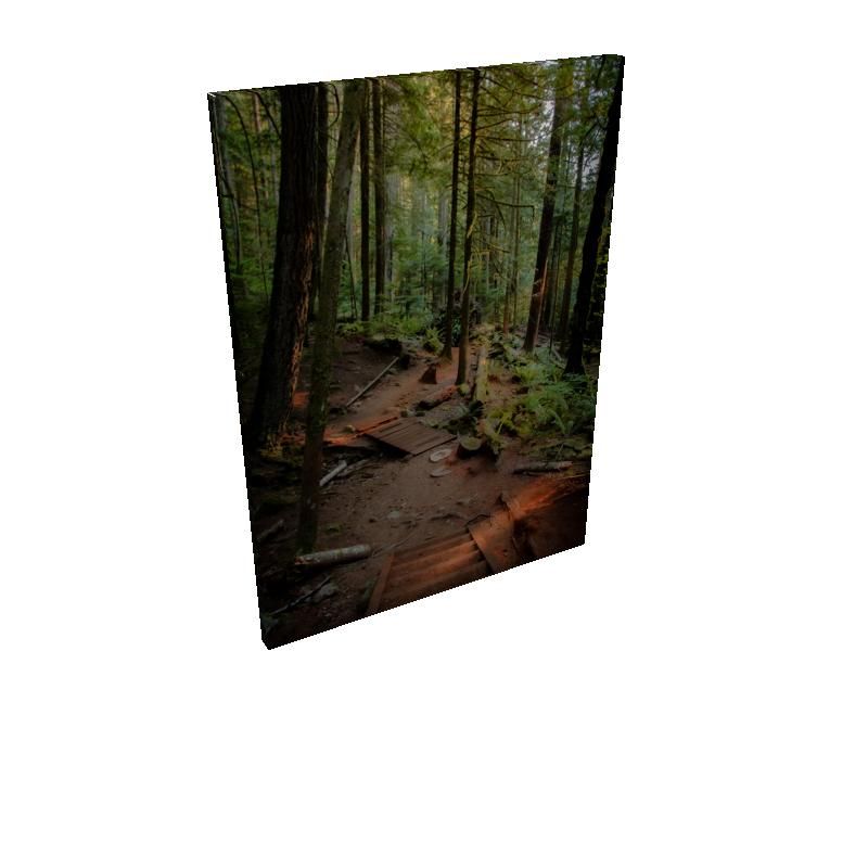 Hewn steps - Canvas