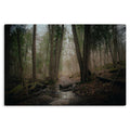 Woodland Marsh
