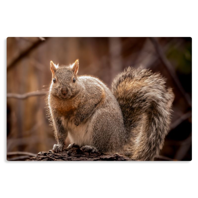 Poised Pose - Canvas