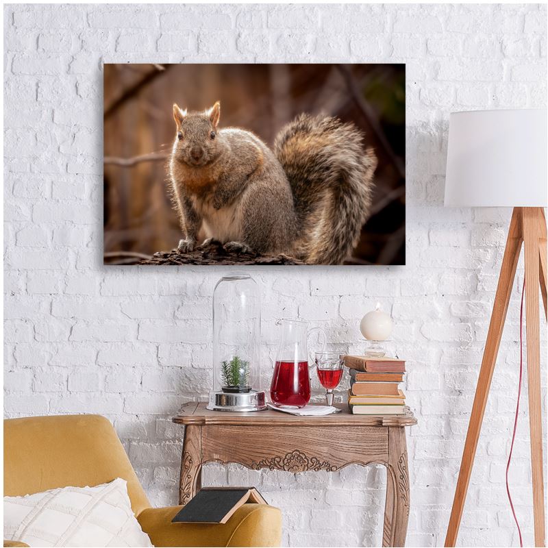 Poised Pose - Canvas