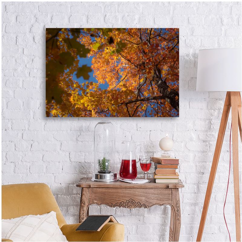 Living Tapestry