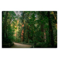 Capilano Path