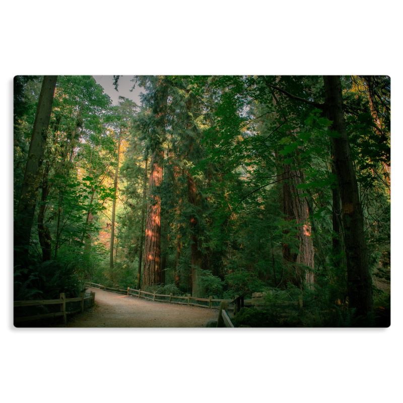Capilano Path