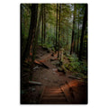 Hewn Path
