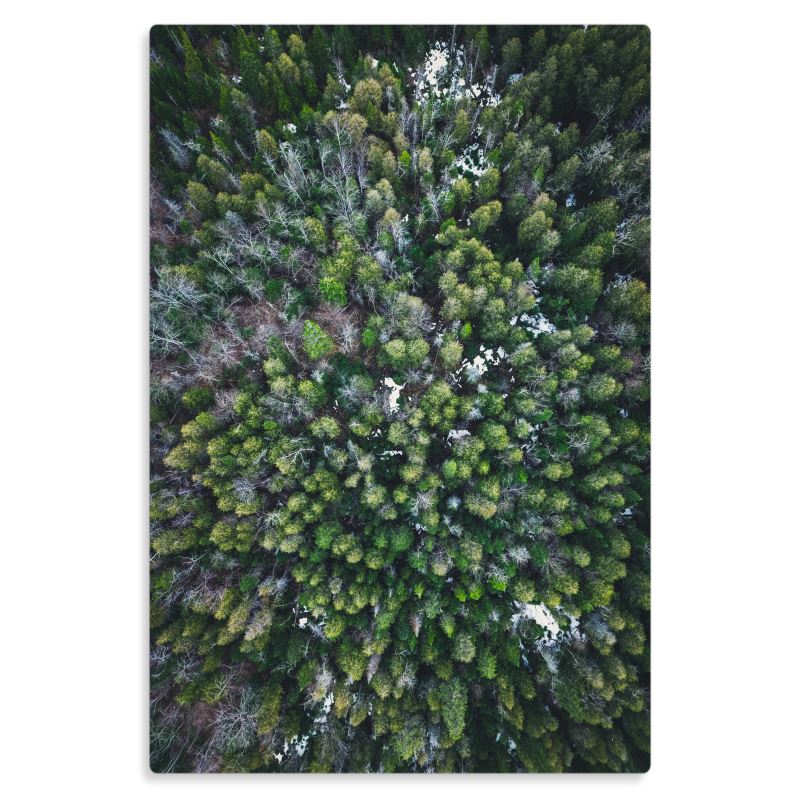 Birdseye Vista