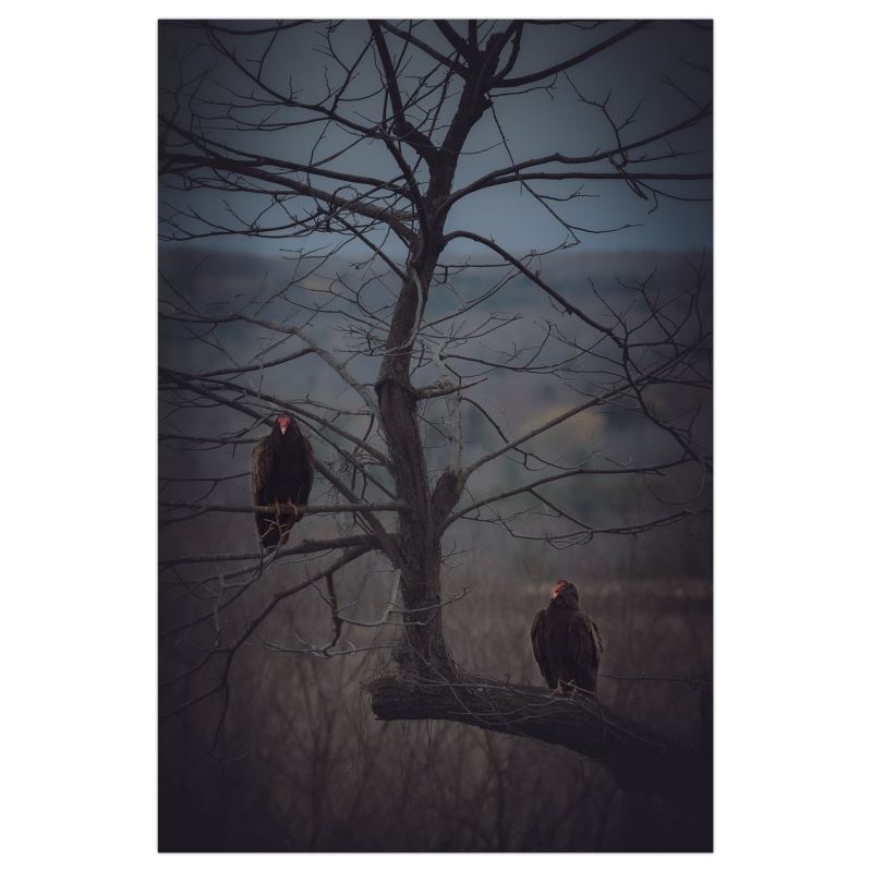 Striking Watchers - Poster Print