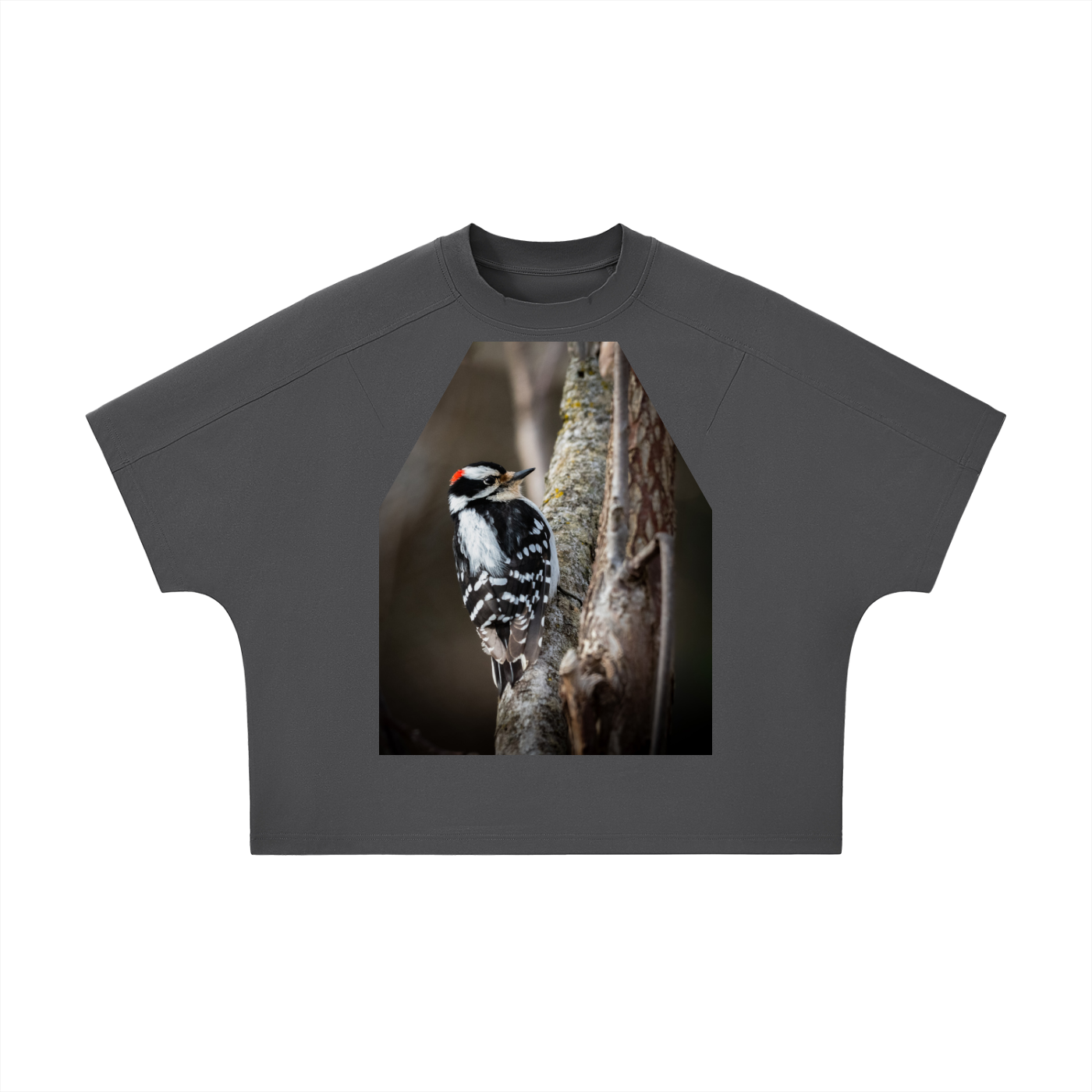 Unisex Boxy Tonal Paneling T-Shirt