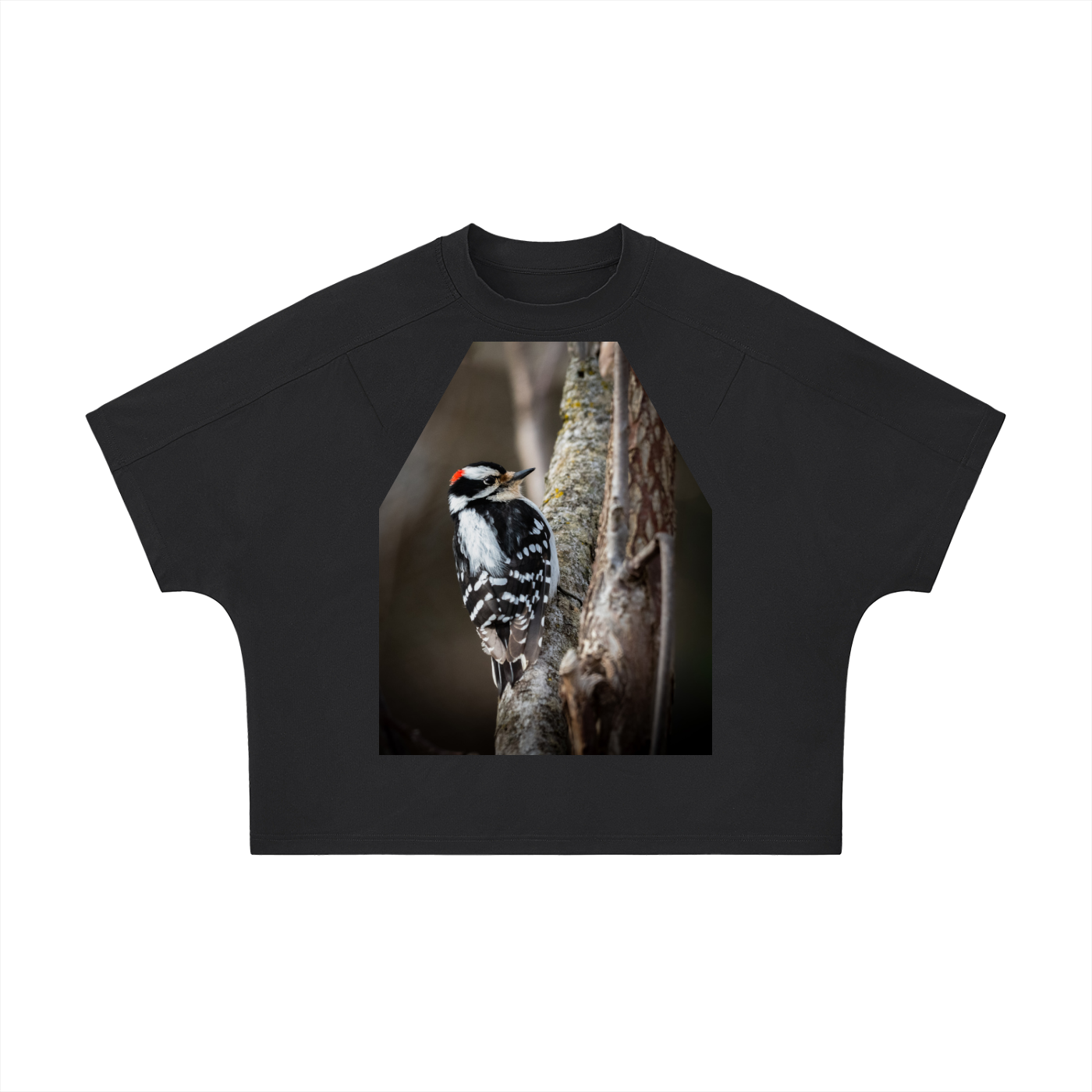 Unisex Boxy Tonal Paneling T-Shirt