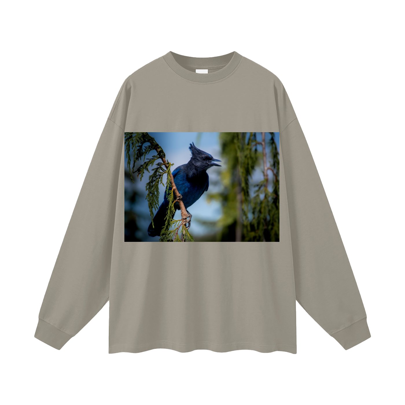 Oversized Unisex Long Sleeve T-Shirt