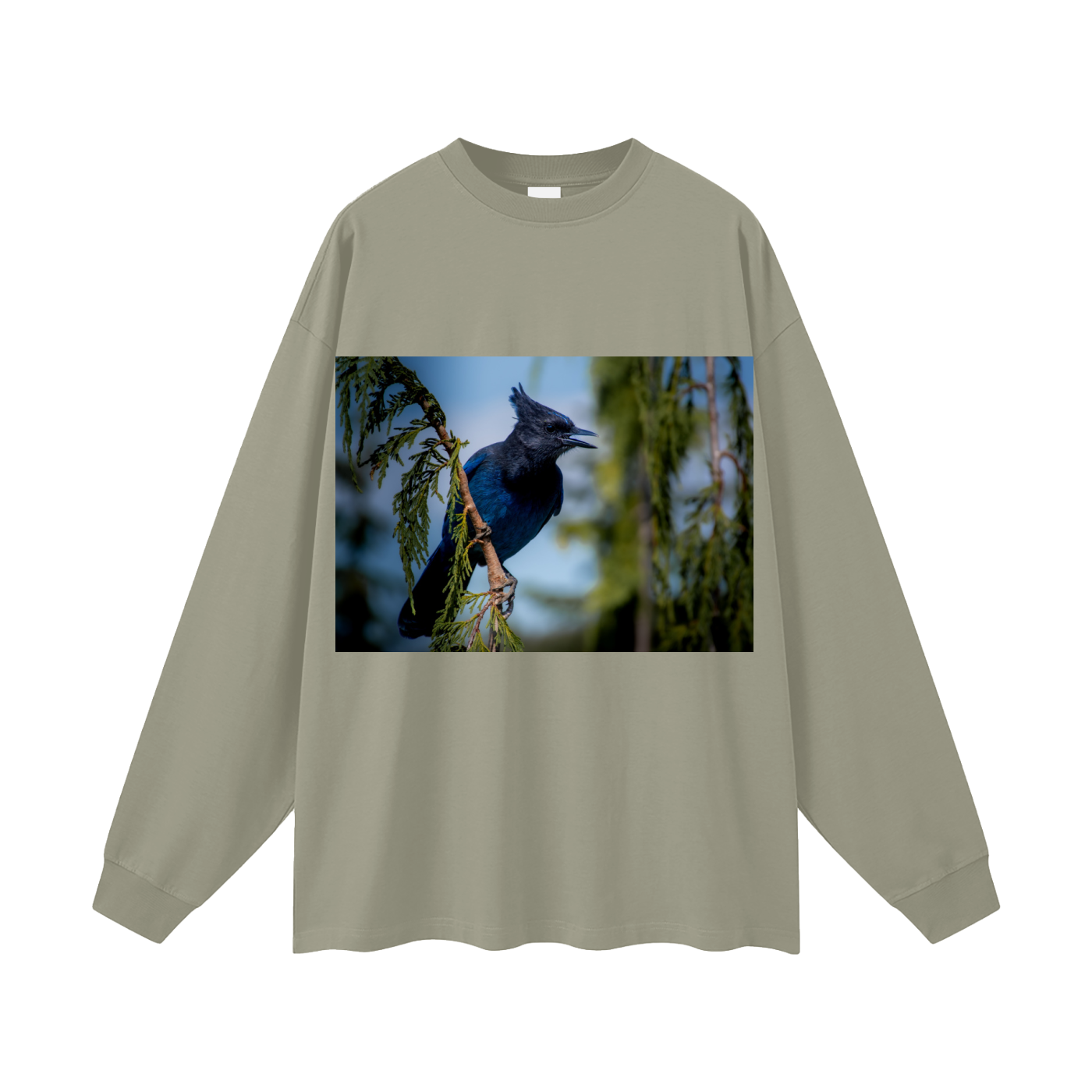 Oversized Unisex Long Sleeve T-Shirt
