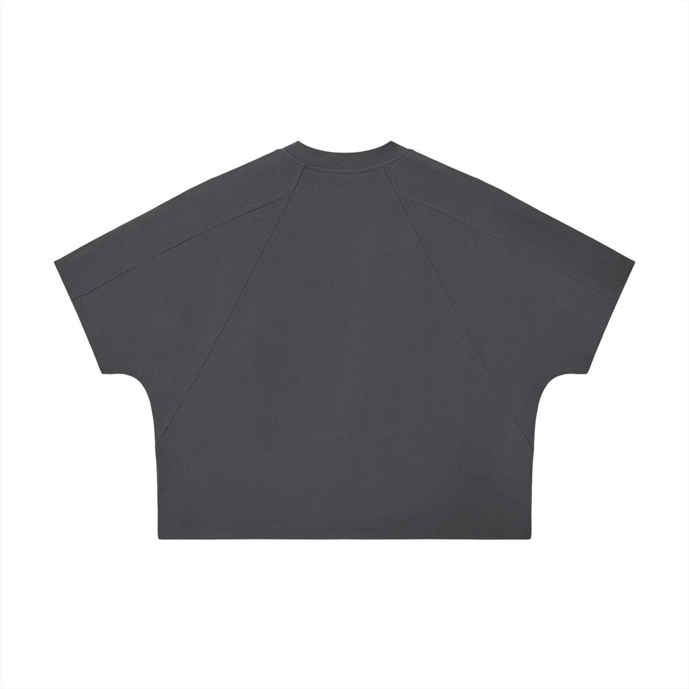 Unisex Boxy Tonal Paneling T-Shirt