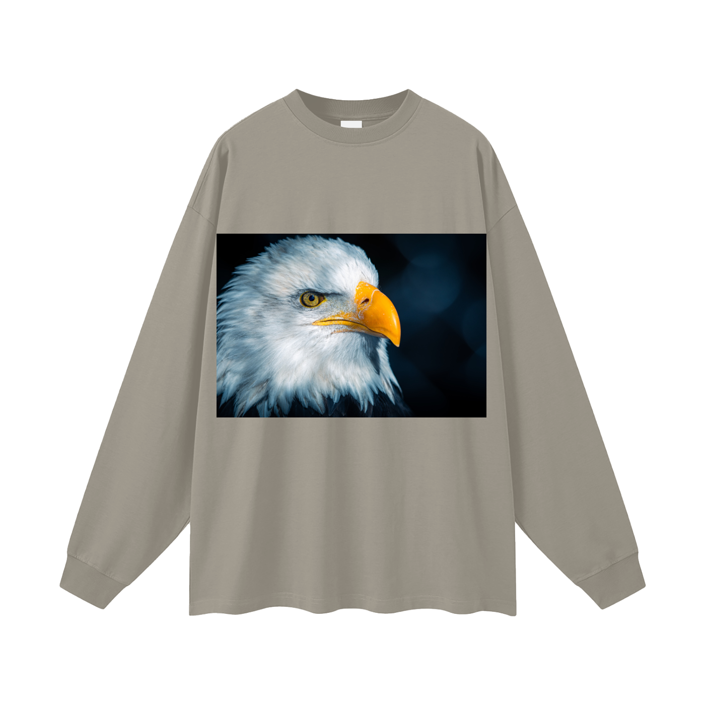 Oversized Unisex Long Sleeve T-Shirt