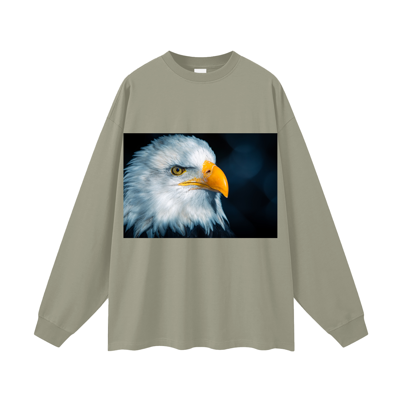 Oversized Unisex Long Sleeve T-Shirt