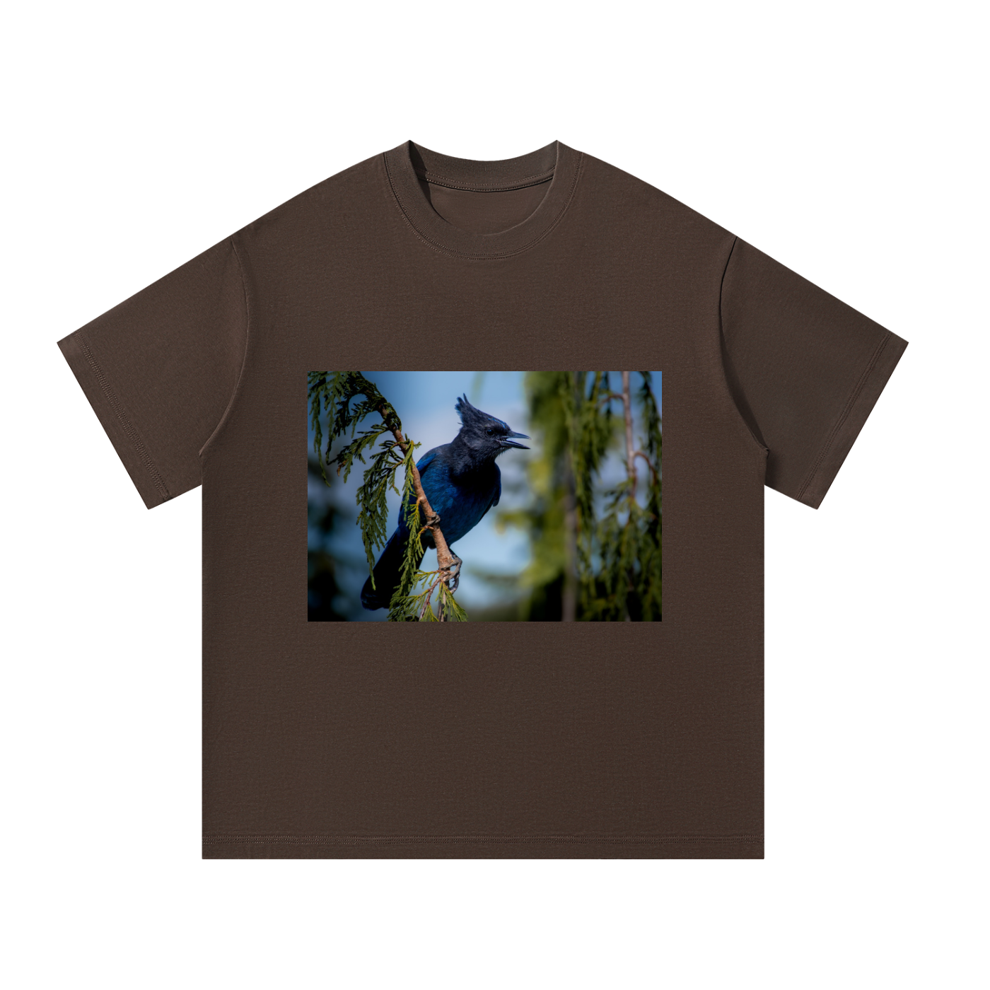 Unisex Oversized T-Shirt