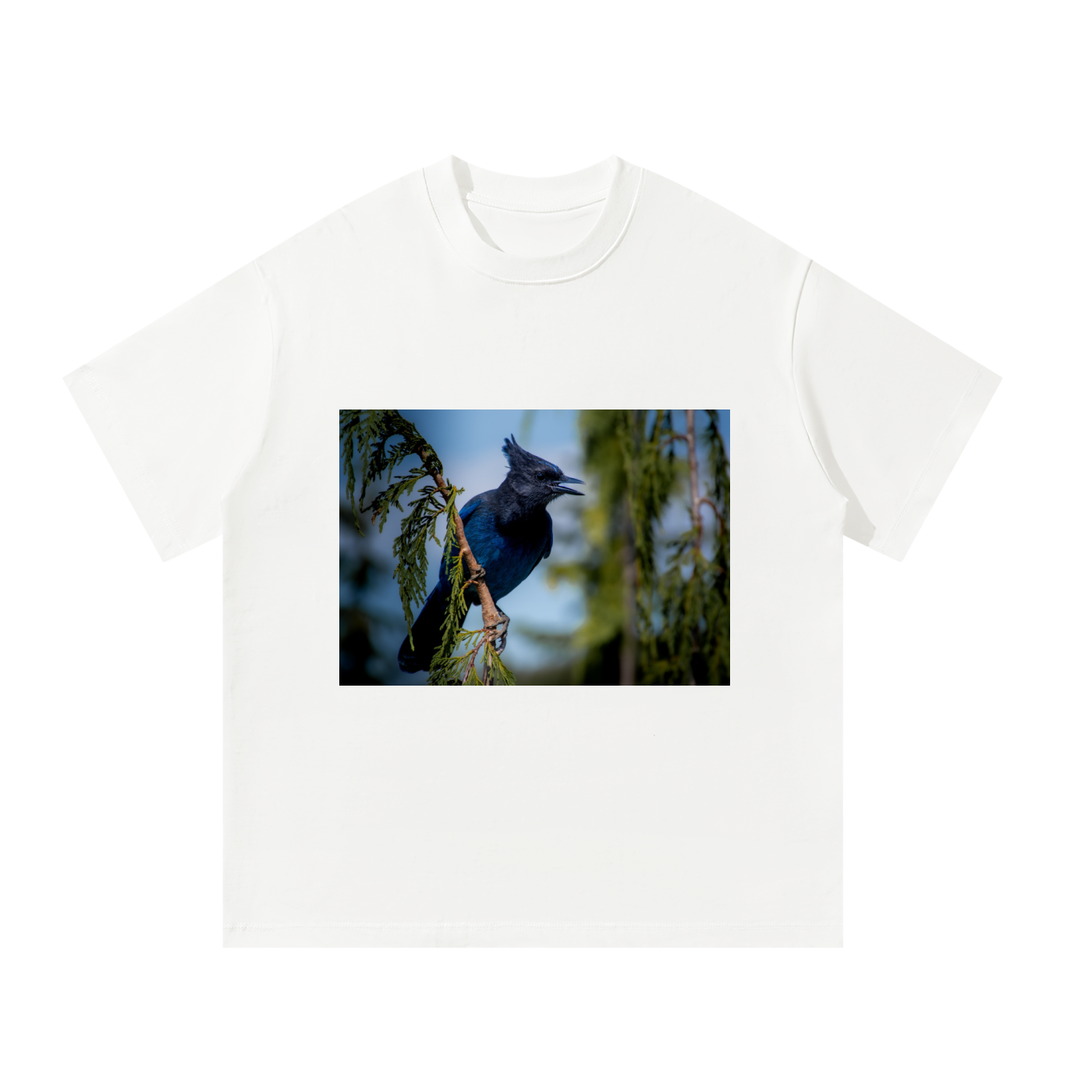 Unisex Oversized T-Shirt
