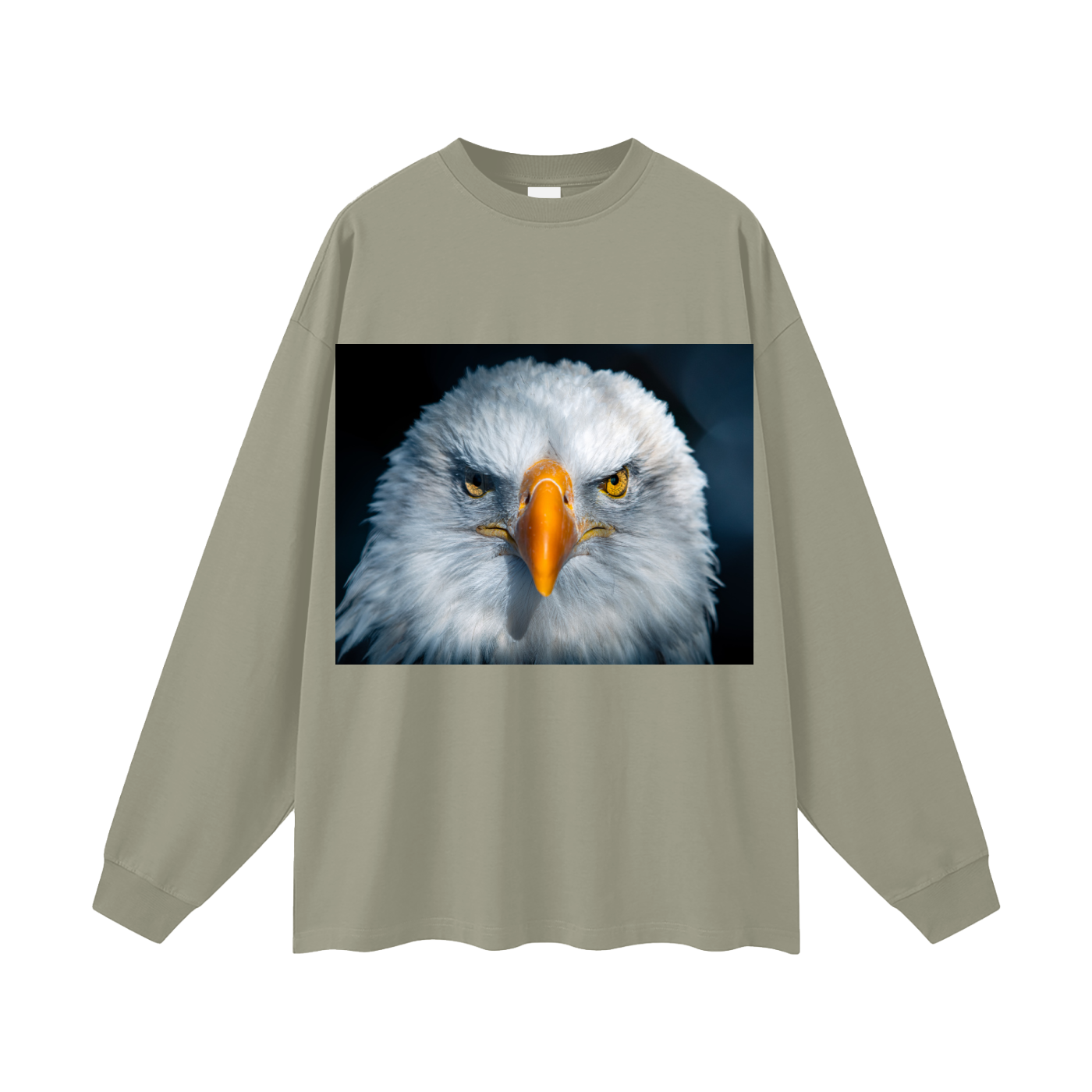 Oversized Unisex Long Sleeve T-Shirt