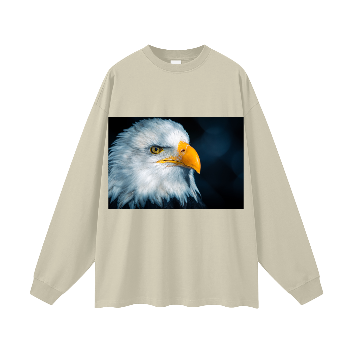 Oversized Unisex Long Sleeve T-Shirt