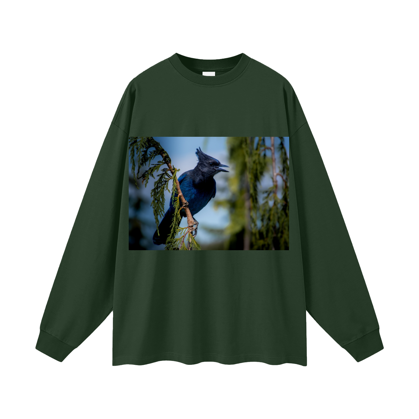 Oversized Unisex Long Sleeve T-Shirt