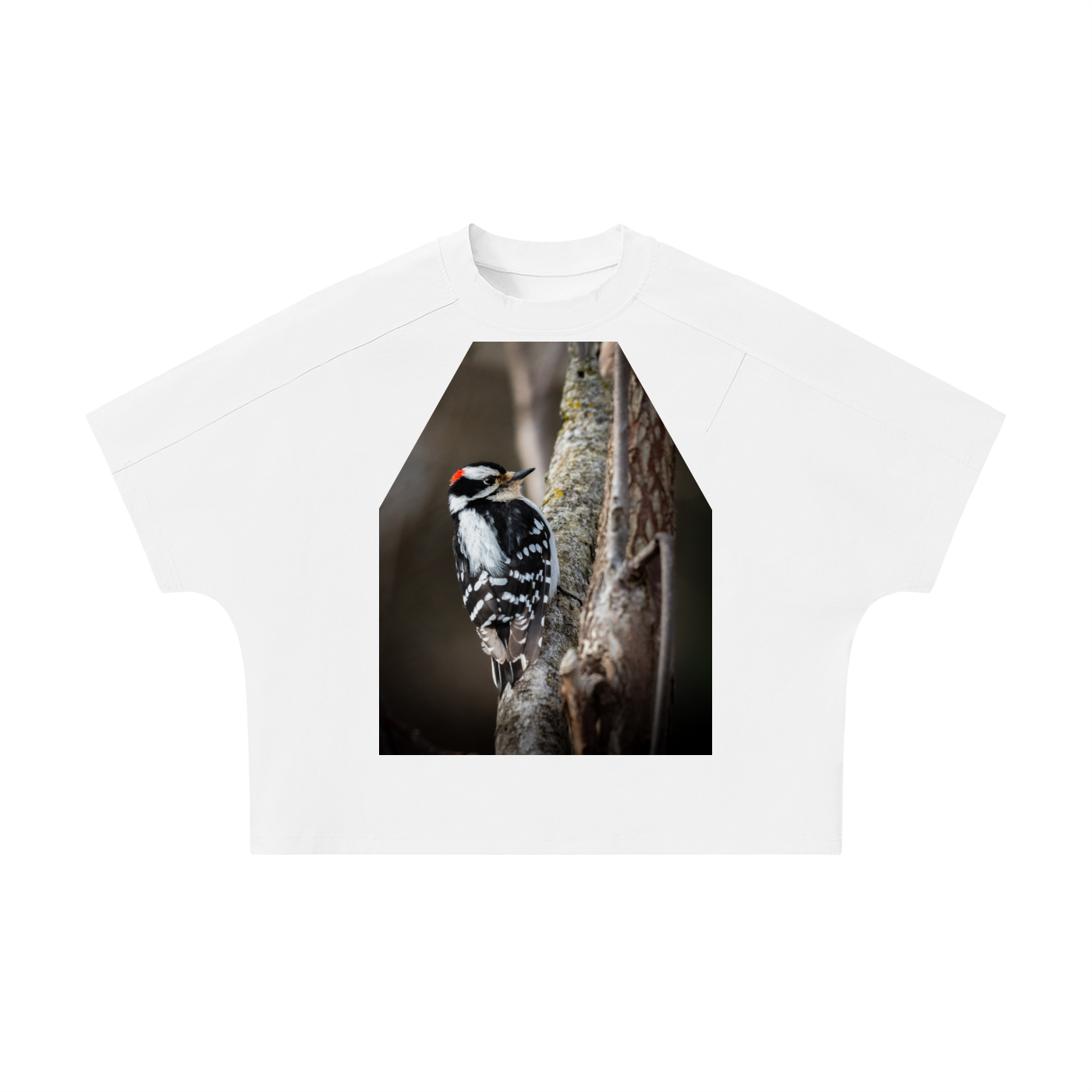 Unisex Boxy Tonal Paneling T-Shirt