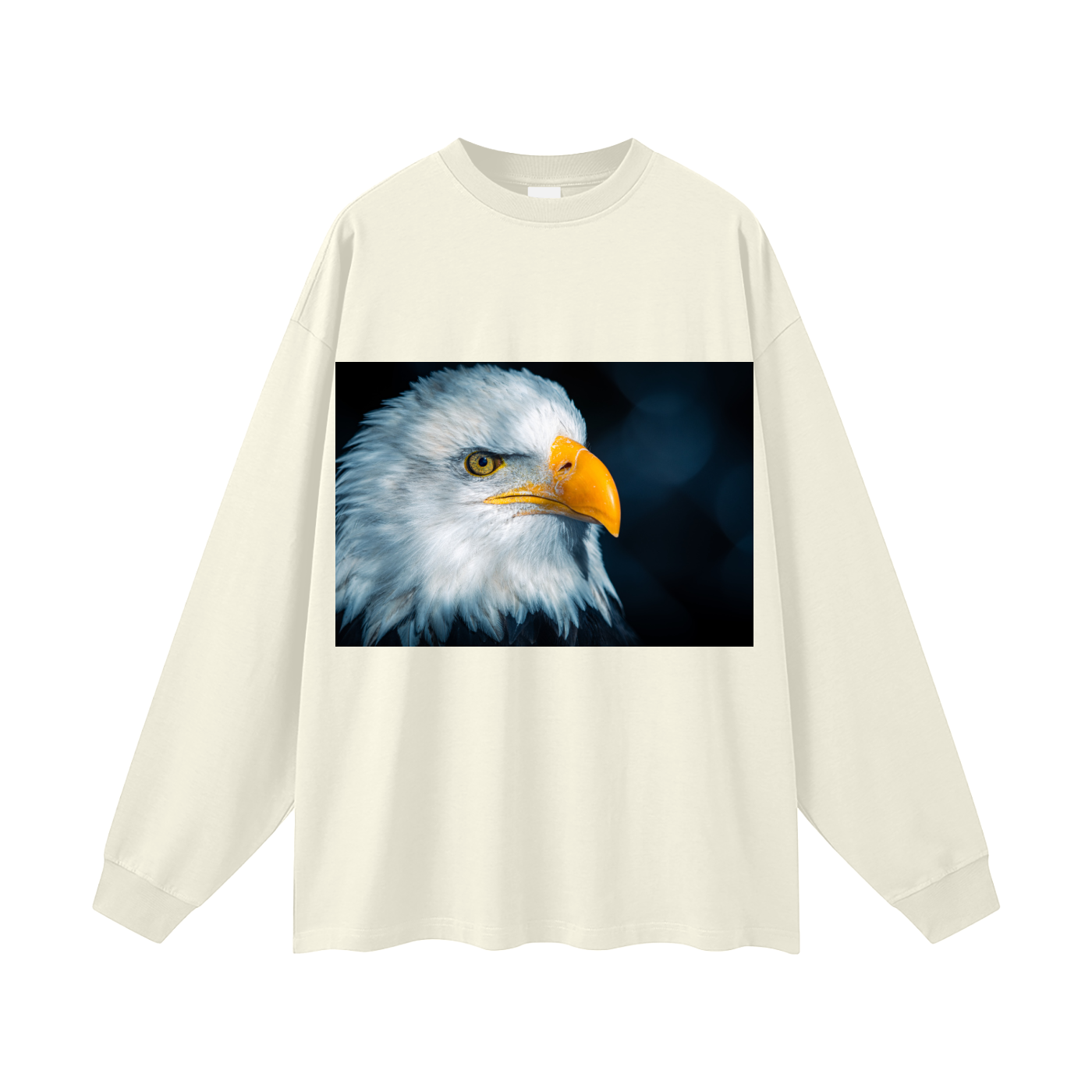Oversized Unisex Long Sleeve T-Shirt