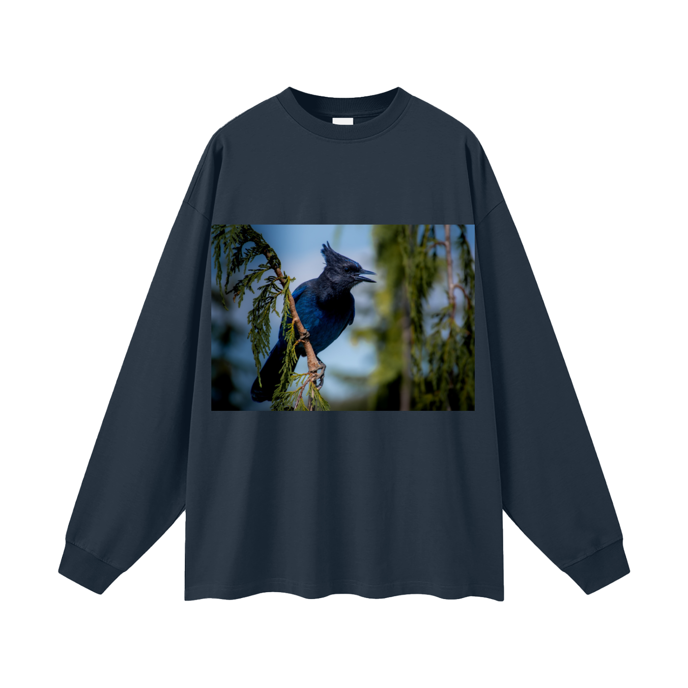 Oversized Unisex Long Sleeve T-Shirt