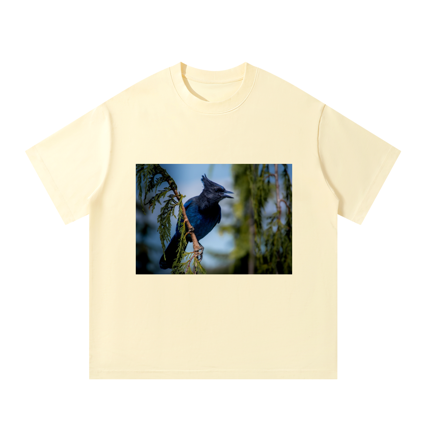 Unisex Oversized T-Shirt