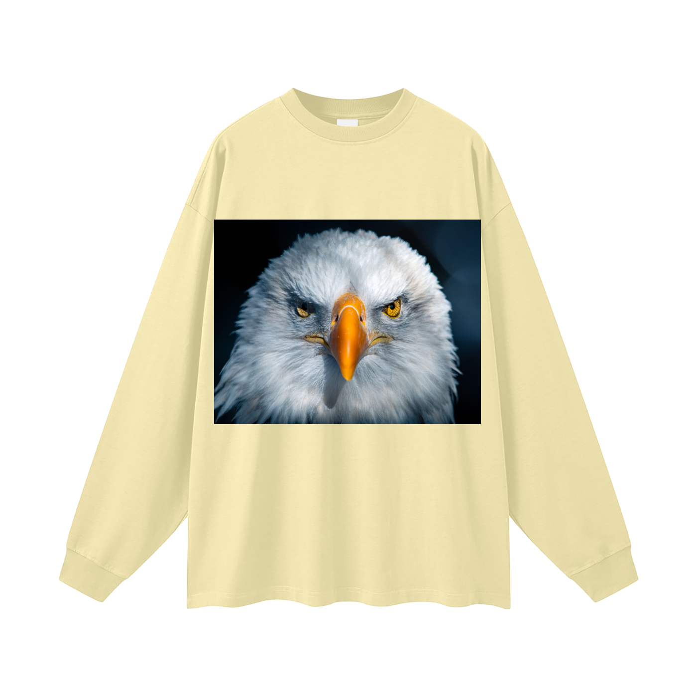 Oversized Unisex Long Sleeve T-Shirt