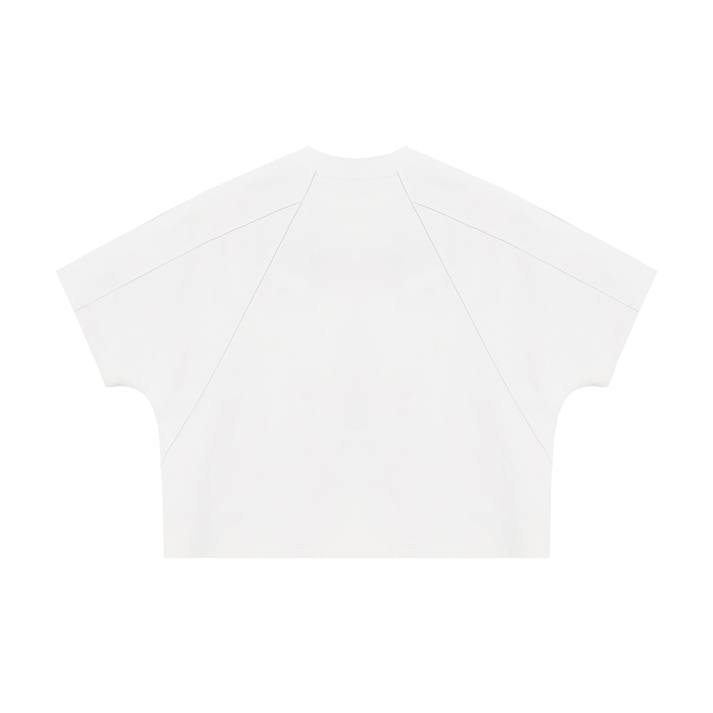 Unisex Boxy Tonal Paneling T-Shirt