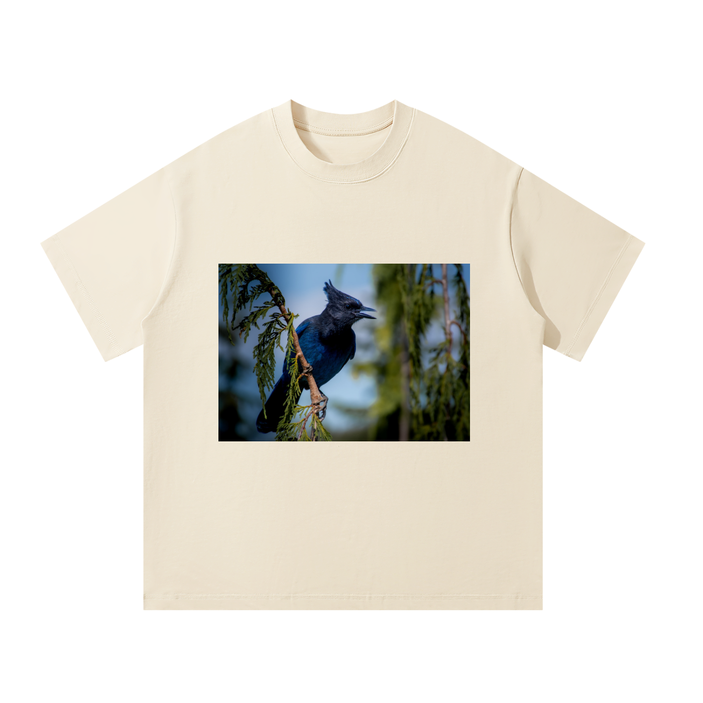 Unisex Oversized T-Shirt