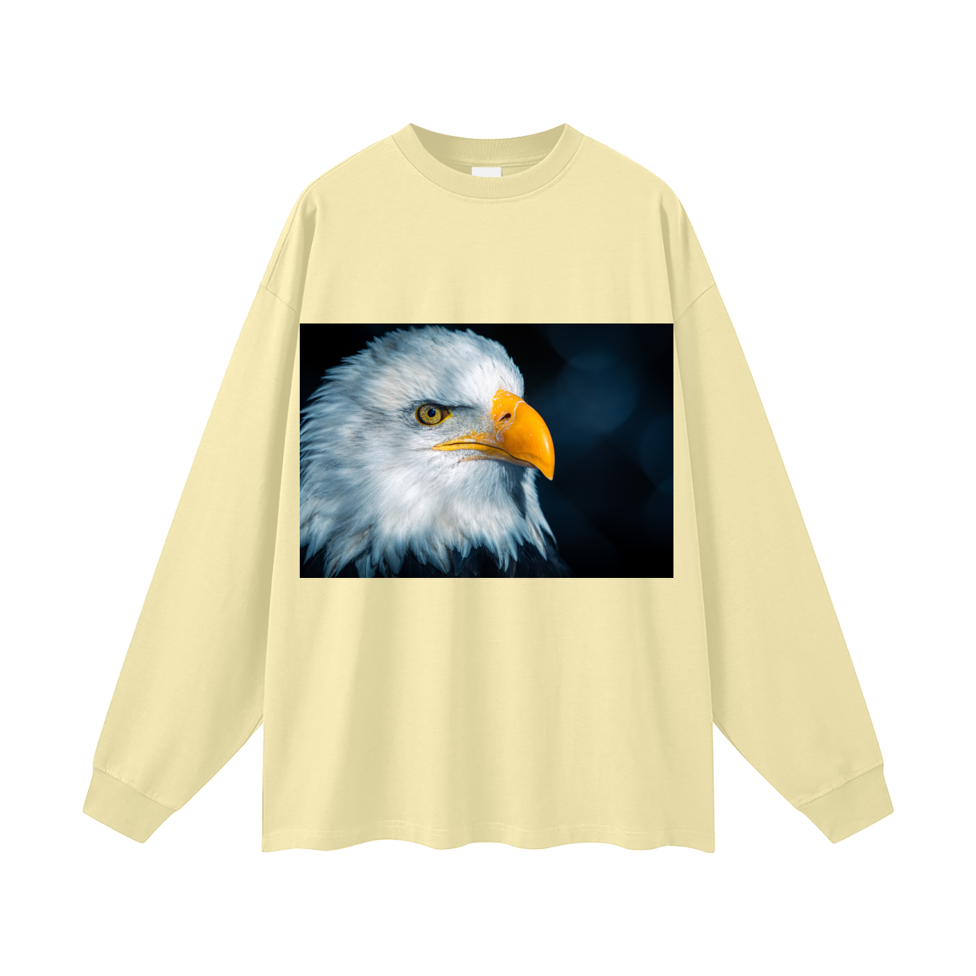 Oversized Unisex Long Sleeve T-Shirt