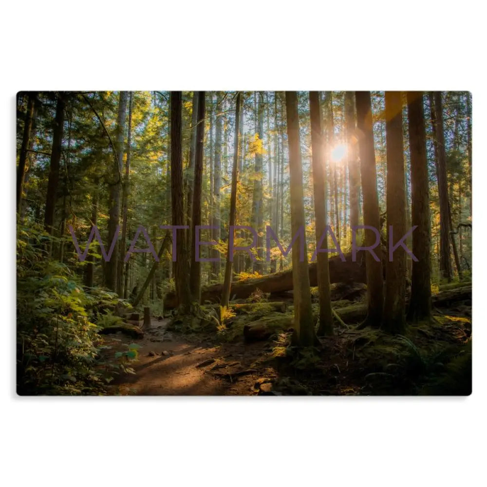 Hike - Metal Prints
