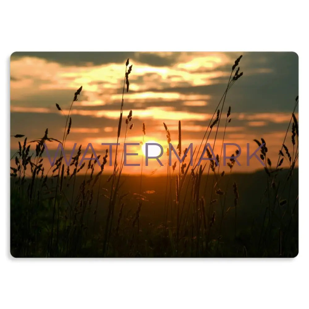 In Perfect Measure - Metal Prints